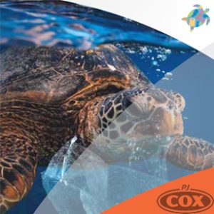 Ocean Bound Plastic OBP Containers